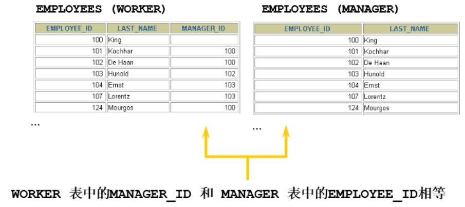 微信截图_20250627124704