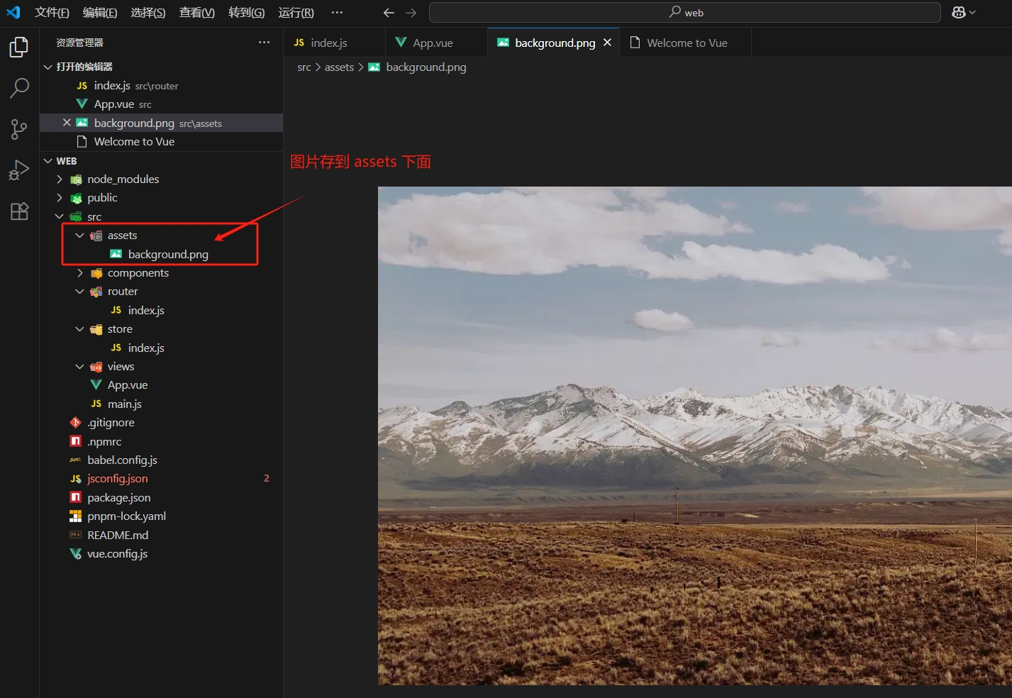 微信截图_20251114182938
