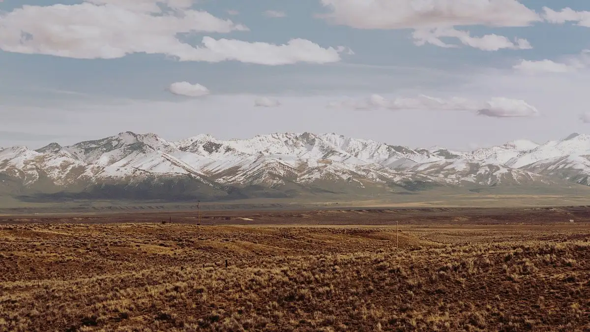 1_59b8f162fd-background